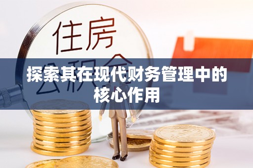 灵丘探索其在现代财务管理中的核心作用