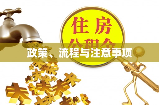 灵丘政策、流程与注意事项
